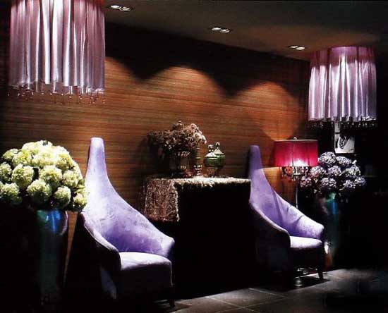 酒店設(shè)計說明  http://www.www.fulangshop.com/jdsj/