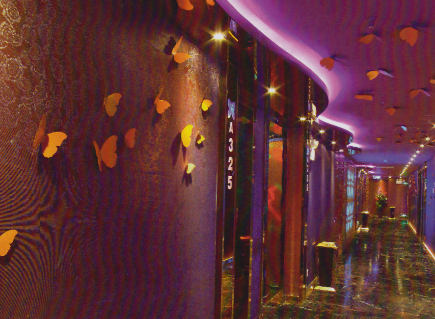 深圳蝴蝶KTV設(shè)計(jì)效果圖欣賞