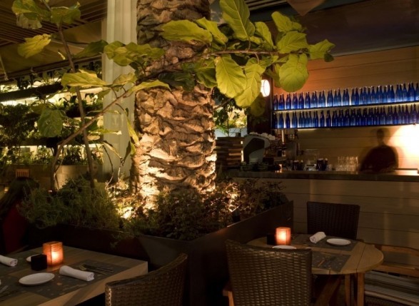 休閑會(huì)所設(shè)計(jì)